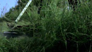 Бензокоса Echo SRM-420