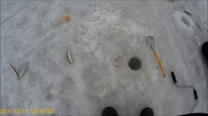 Рыбалка Камчатки #2 2016 2017 Ловля корюшки и наваги протока Авачи Широкая природа