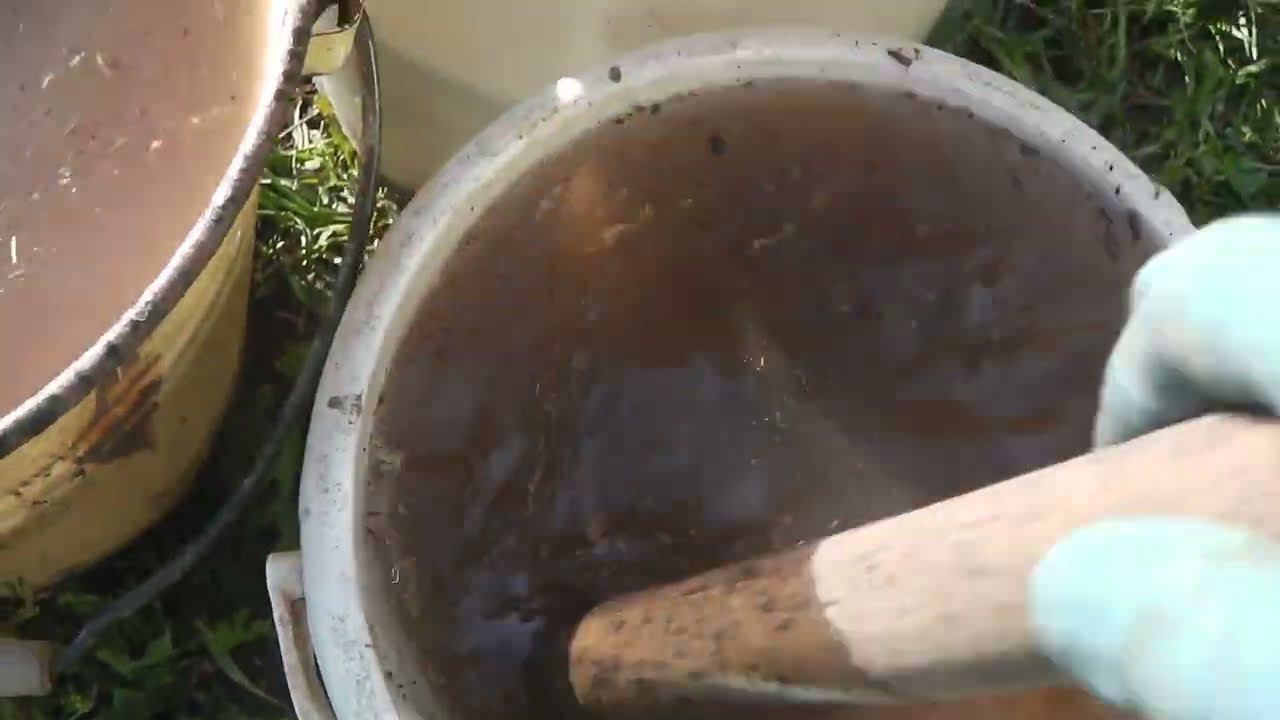 САМАЯ ВАЖНАЯ ПОДКОРМКА КЛУБНИКИ В СЕНТЯБРЕ . ЧЕМ ПОДКОРМИТЬ КЛУБНИКУ В СЕНТЯБРЕ смотреть онлайн