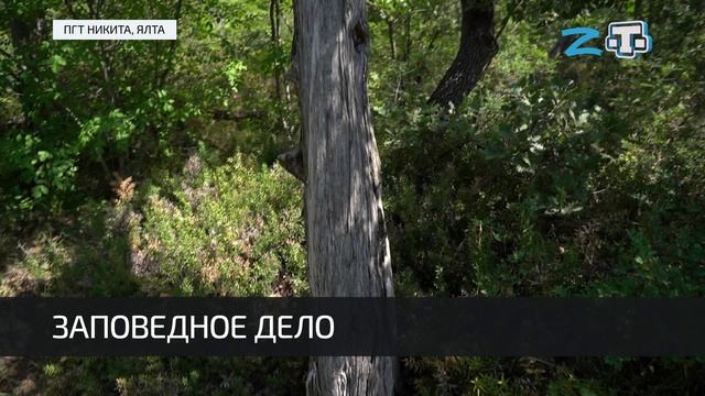 Научный лагерь проекта «Заповедное дело РГО» прошёл на территории  «Мыс Мартьян»