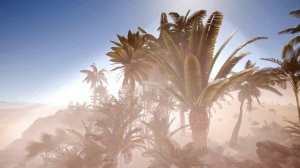 Пустыня Сахара. Северная Африка