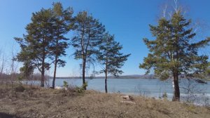 Природа окрестностей Каслей у озера Киреты
