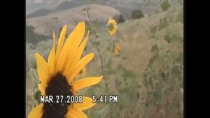 Panasonic VDR-D230 Review/Test
