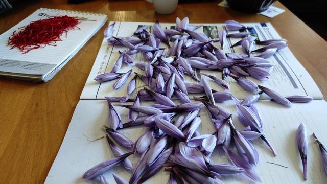 маленькі розповіді про великий Шафран.. смотреть онлайн