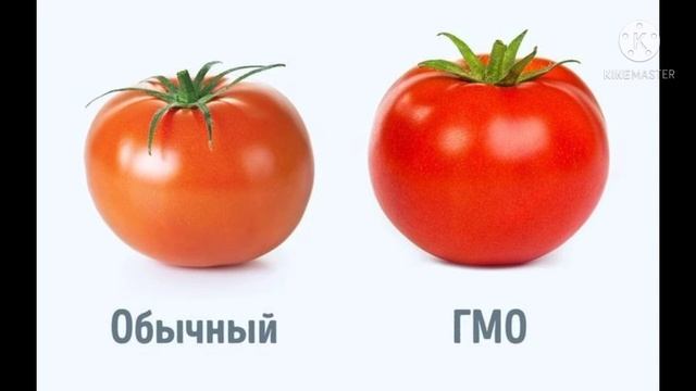 10 интересных фактов /о которых вы не слышали / просто не поверите. смотреть онлайн