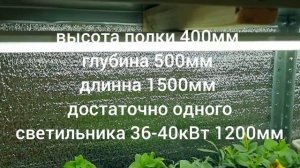 ? Лампы для рассады! Какие выбрать? Хороший бюджетный вариант!