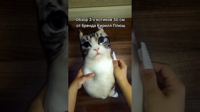 Обзор на #эльгато #комару #чмоня #обзор #коты  #мягкаяигрушка #мемы #кириллплюш #блоптоп