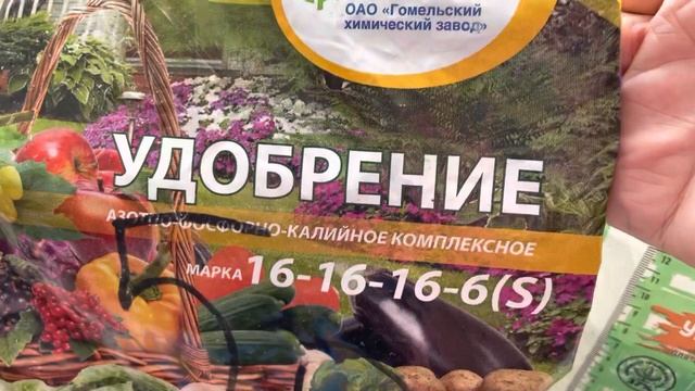 Идеальное удобрение для пеларгонии в марте смотреть онлайн