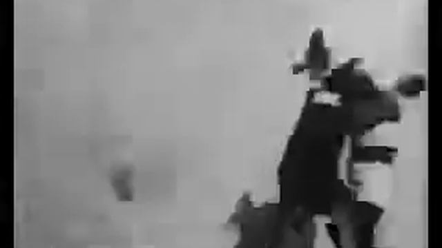 Бокс С Кенгуру (1895) смотреть онлайн