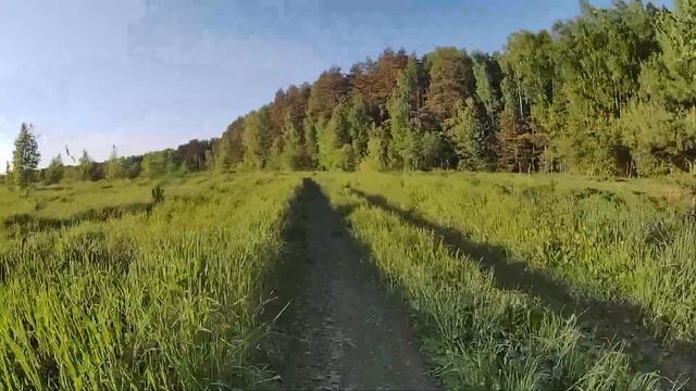 Узкоколейка-2018 [42] 190000 Следово - Перекресток в поле смотреть онлайн