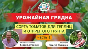 Царские томаты для заготовок