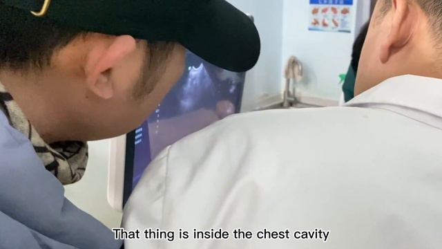 Driving Six Hours to Rescue a Dog, We Never Give Up смотреть онлайн