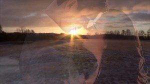 Ты скажи, ты скажи