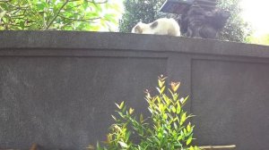 Букит, первые впечатления, пляж Меласти, остров Бали, Индонезия