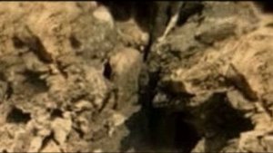 МАРСОХОД ПЕРСЕВЕРАНС СНЯЛ ПЕЩЕРУ ОТКУДА БЫЛА ВИДНА ОКАМЕНЕВШАЯ РУКА.