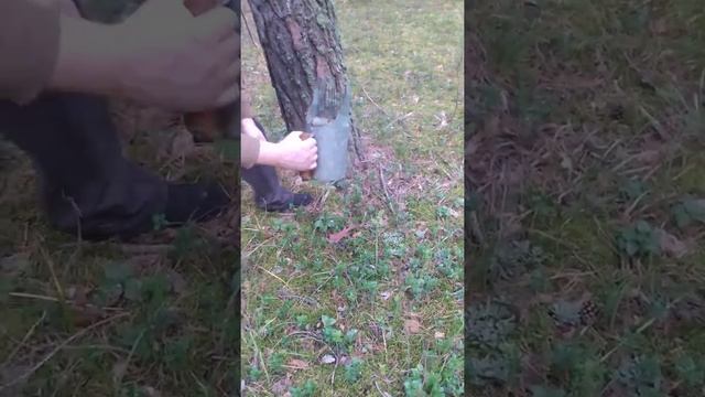 Брусника. смотреть онлайн