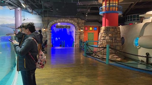 г. Харбин Полярный океанариум 2023г. смотреть онлайн