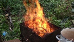 Копченый карась