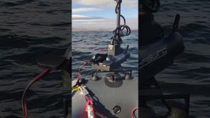 Электромотор Haswing Cayman B 55 lbs GPS Показания потребления тока