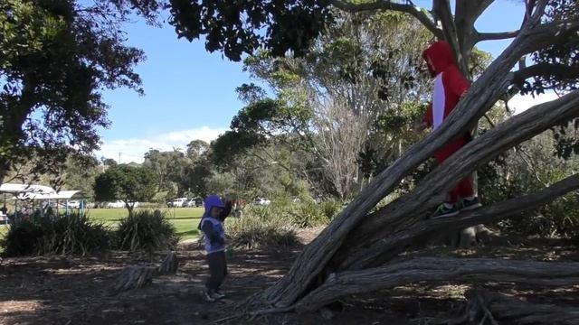 #1 Бешеная Красная птичка играет в догонялки и лазает по деревьям! Angry Bird in Real life смотреть онлайн