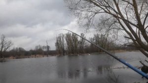 Ловля окуня после нереста на отводной поводок, ветер