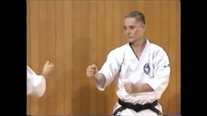 Вадо-рю каратэ.Wado ryu Karate.Базовая техника и кумитэ