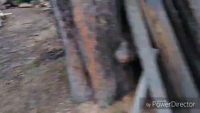 Дети на танцполе. Посылки. смотреть онлайн