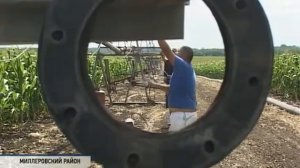 Новая технология выращивания кукурузы