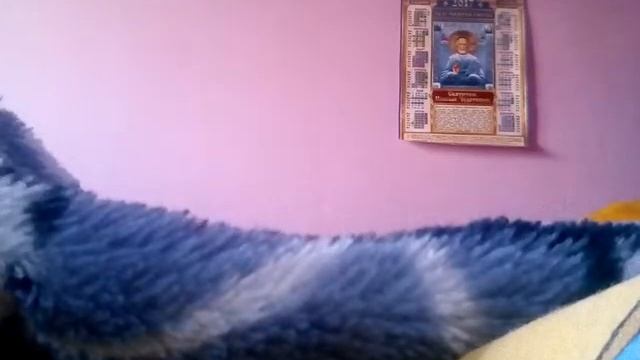 Приколы какашка на полу смотреть онлайн