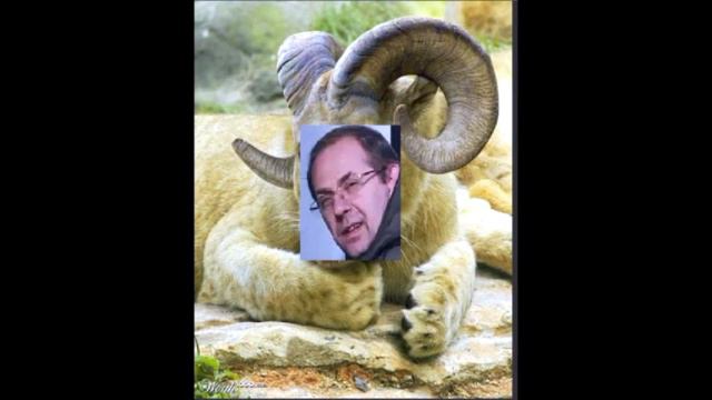 Тайган, ВЕРНИ УНИКАЛЬНЫЙ ВИД животного. смотреть онлайн