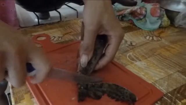 Каникулы на море//"чудовище" НА РЫБАЛКЕ//КРЫМ//ОЛЕНЕВКА//Часть 3)))//Марианна Life