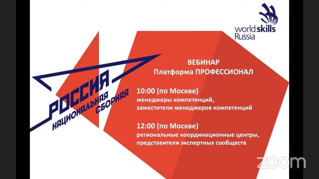 Вебинар Платформа Профессионал смотреть онлайн