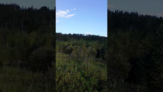 сборка смородина в Забайкальском крае смотреть онлайн