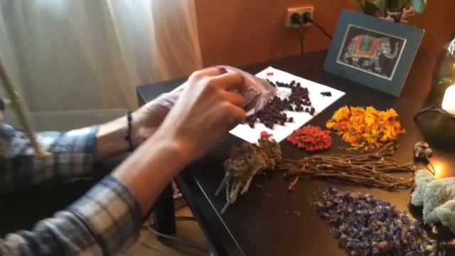 Погружение в мир трав смотреть онлайн