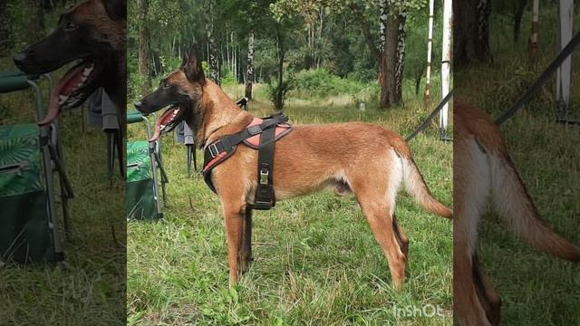 16 января 2023 г. смотреть онлайн