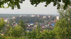 "Американский клён. Какой вред может нанести это дерево?" (новости Бийска, 08.06.16г., Будни)