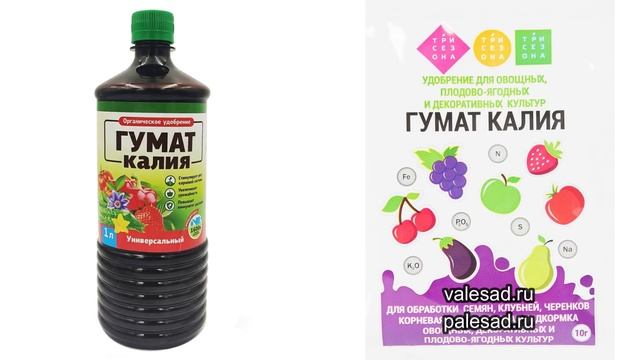 ВСЕГО ОДНО УДОБРЕНИЕ ПОД СМОРОДИНУ и КРЫЖОВНИК ПОСЛЕ ЦВЕТЕНИЯ! Ягода будет крупная и вкусная