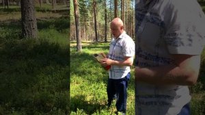 КОМБАЙН ДЛЯ СБОРА ЯГОД