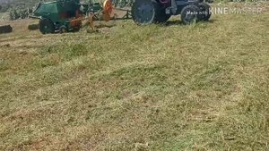 Сколько тюков люцерки с 1 га?