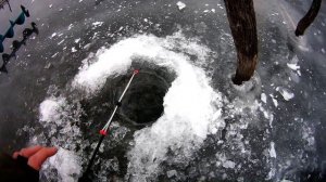 Плотва по первому льду, открытие сезона зимней рыбалки 2018!