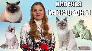 Невская маскарадная кошка. История и особенности породы