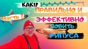 Ловля рипуса на Увильдах. Как ловить рипуса. Рыбалка рипус. Рипус Увильды. fishing. Часть 1