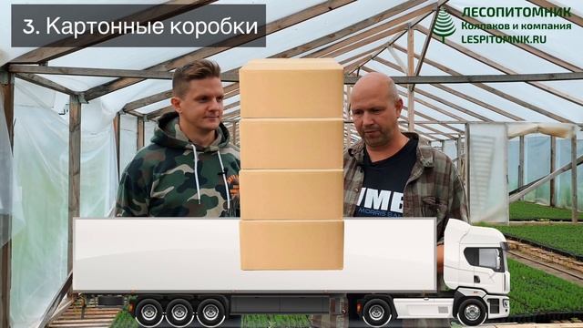 ДОСТАВКА САЖЕНЦЕВ ДЛЯ ЛЕСОВОССТАНОВЛЕНИЯ ИЗ ЛЕСОПИТОМНИКА, какой из 4 способов выбрать?