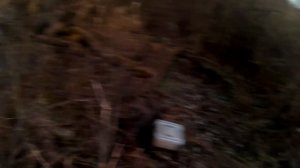 Постановка(ЭКРАНОВ)с берега телескопичкой/интересная находка!