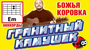 ГРАНИТНЫЙ КАМУШЕК - БОЖЬЯ КОРОВКА (ПРОСТАЯ ПЕСНЯ НА ГИТАРЕ) АККОРДЫ БЕЗ БАРРЭ + БОЙ (COVER)