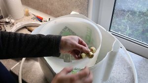 Перосъёмная машинка для перепелов своими руками! Часть 2