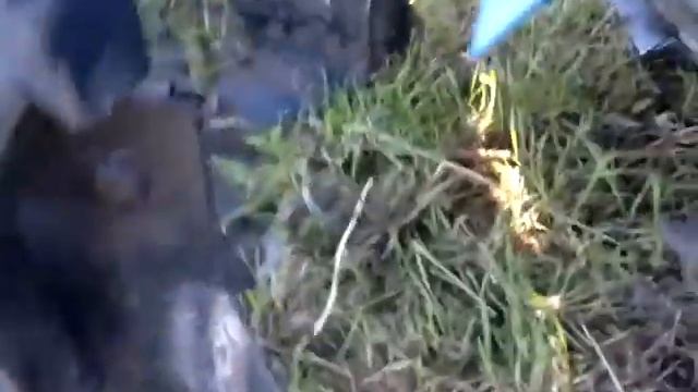 Копалка самодельная для мотоблока! смотреть онлайн