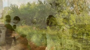 д.Буранное .Часть №1 Курганская область Петуховский округ.