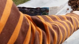 Сосновая кора для мульчирования  Обзор