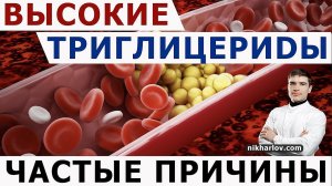 ? Триглицериды в крови повысились от биологически ценного питания? Причины повышения триглицеридов.